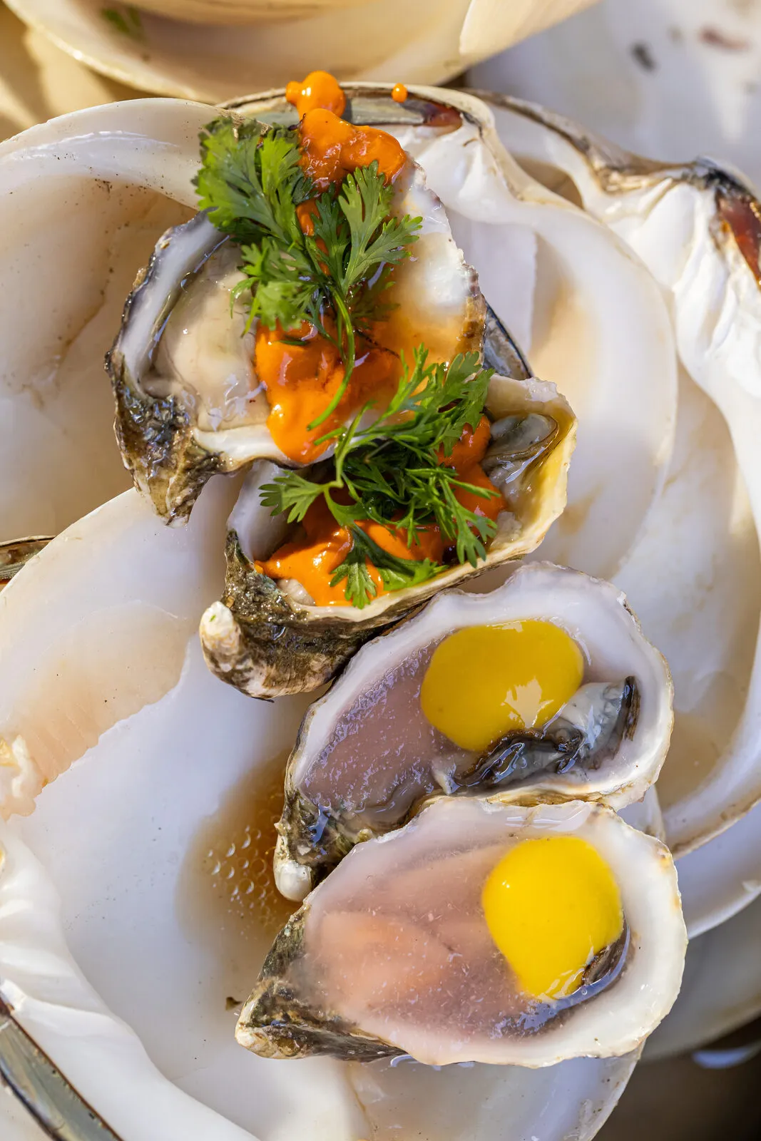 Ostras servidas con salsa picante y hierbas frescas en Taller de Mar